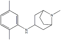 N-(2,5-dimethylphenyl)-8-methyl-8-azabicyclo[3.2.1]octan-3-amine 结构式