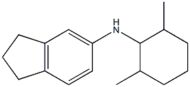 N-(2,6-dimethylcyclohexyl)-2,3-dihydro-1H-inden-5-amine 结构式