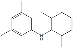 N-(2,6-dimethylcyclohexyl)-3,5-dimethylaniline 结构式