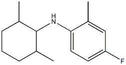N-(2,6-dimethylcyclohexyl)-4-fluoro-2-methylaniline 结构式