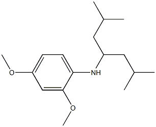 N-(2,6-dimethylheptan-4-yl)-2,4-dimethoxyaniline 结构式