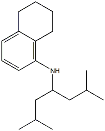 N-(2,6-dimethylheptan-4-yl)-5,6,7,8-tetrahydronaphthalen-1-amine 结构式