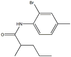 N-(2-bromo-4-methylphenyl)-2-methylpentanamide 结构式