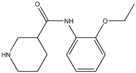 N-(2-ethoxyphenyl)piperidine-3-carboxamide 结构式