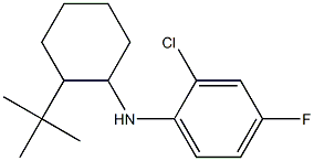 N-(2-tert-butylcyclohexyl)-2-chloro-4-fluoroaniline 结构式