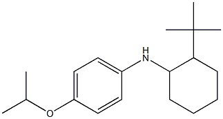 N-(2-tert-butylcyclohexyl)-4-(propan-2-yloxy)aniline 结构式