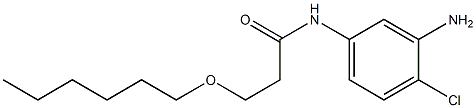 N-(3-amino-4-chlorophenyl)-3-(hexyloxy)propanamide 结构式