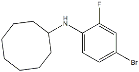 N-(4-bromo-2-fluorophenyl)cyclooctanamine 结构式