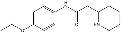 N-(4-ethoxyphenyl)-2-(piperidin-2-yl)acetamide 结构式