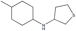 N-(4-methylcyclohexyl)thiolan-3-amine 结构式