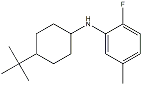 N-(4-tert-butylcyclohexyl)-2-fluoro-5-methylaniline 结构式