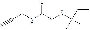 N-(cyanomethyl)-2-[(2-methylbutan-2-yl)amino]acetamide 结构式