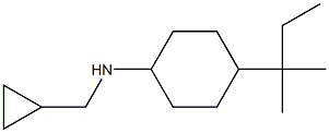 N-(cyclopropylmethyl)-4-(2-methylbutan-2-yl)cyclohexan-1-amine 结构式