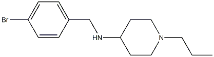 N-[(4-bromophenyl)methyl]-1-propylpiperidin-4-amine 结构式