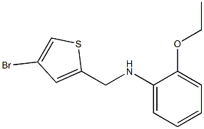 N-[(4-bromothiophen-2-yl)methyl]-2-ethoxyaniline 结构式