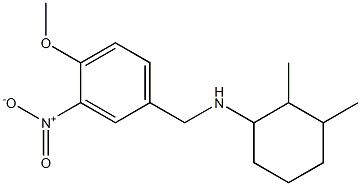 N-[(4-methoxy-3-nitrophenyl)methyl]-2,3-dimethylcyclohexan-1-amine 结构式