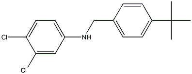 N-[(4-tert-butylphenyl)methyl]-3,4-dichloroaniline 结构式