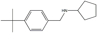 N-[(4-tert-butylphenyl)methyl]cyclopentanamine 结构式