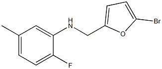 N-[(5-bromofuran-2-yl)methyl]-2-fluoro-5-methylaniline 结构式