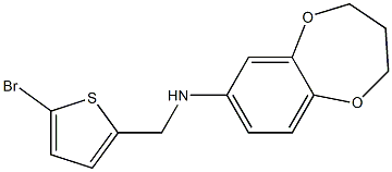 N-[(5-bromothiophen-2-yl)methyl]-3,4-dihydro-2H-1,5-benzodioxepin-7-amine 结构式