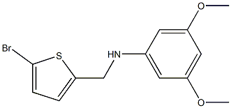 N-[(5-bromothiophen-2-yl)methyl]-3,5-dimethoxyaniline 结构式