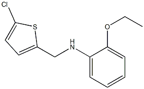 N-[(5-chlorothiophen-2-yl)methyl]-2-ethoxyaniline 结构式