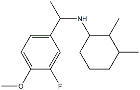 N-[1-(3-fluoro-4-methoxyphenyl)ethyl]-2,3-dimethylcyclohexan-1-amine 结构式