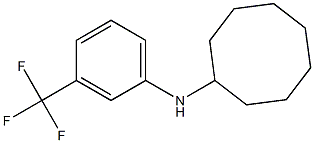 N-[3-(trifluoromethyl)phenyl]cyclooctanamine 结构式