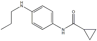 N-[4-(propylamino)phenyl]cyclopropanecarboxamide 结构式