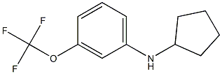 N-cyclopentyl-3-(trifluoromethoxy)aniline 结构式