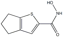 N-hydroxy-5,6-dihydro-4H-cyclopenta[b]thiophene-2-carboxamide 结构式