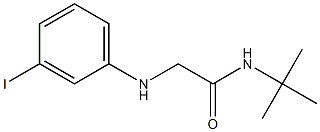 N-tert-butyl-2-[(3-iodophenyl)amino]acetamide 结构式