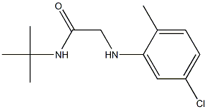 N-tert-butyl-2-[(5-chloro-2-methylphenyl)amino]acetamide 结构式