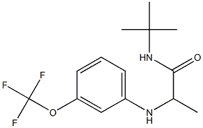 N-tert-butyl-2-{[3-(trifluoromethoxy)phenyl]amino}propanamide 结构式