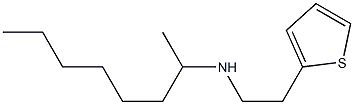 octan-2-yl[2-(thiophen-2-yl)ethyl]amine 结构式