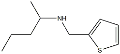 pentan-2-yl(thiophen-2-ylmethyl)amine 结构式