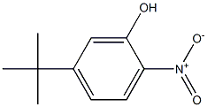 5-tert-butyl-2-nitrophenol 结构式