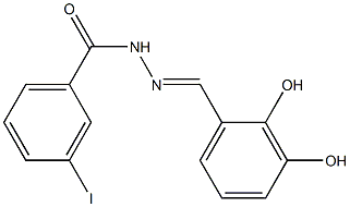 N'-[(E)-(2,3-dihydroxyphenyl)methylidene]-3-iodobenzohydrazide 结构式