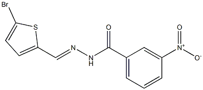 N'-[(E)-(5-bromo-2-thienyl)methylidene]-3-nitrobenzohydrazide 结构式