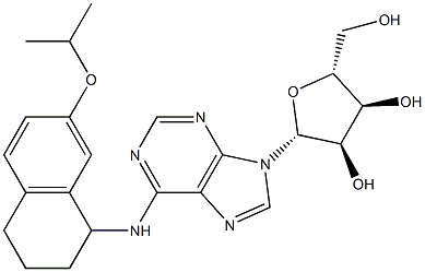 N-[[1,2,3,4-Tetrahydro-7-isopropyloxynaphthalen]-1-yl]adenosine 结构式