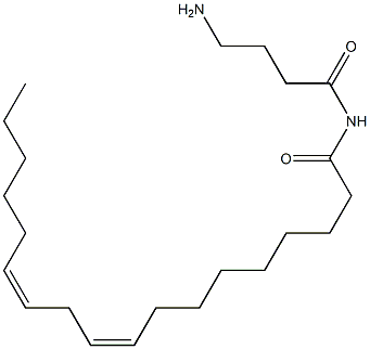 (9Z,12Z)-N-(4-Aminobutyryl)-9,12-octadecadienamide 结构式