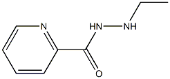 N'-Ethylpyridine-2-carbohydrazide 结构式