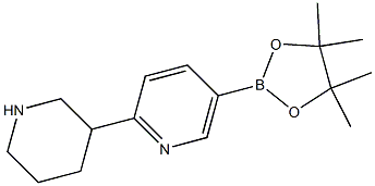 5-(4,4,5,5-tetraMethyl-1,3,2-dioxaborolan-2-yl)-2-(piperidin-3-yl)pyridine 结构式