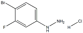 4-溴-3-氟苯肼盐酸盐 结构式