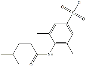 3,5-dimethyl-4-(4-methylpentanamido)benzene-1-sulfonyl chloride 结构式