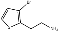 2-(3-bromothiophen-2-yl)ethan-1-amine 结构式