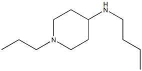 N-丁基-1-丙基哌啶-4-胺 结构式