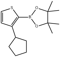 3-羟基-2,3-二甲基丁烷-2-基氢(3-环戊基噻吩-2-基)硼酸酯 结构式