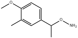 O-[1-(4-methoxy-3-methylphenyl)ethyl]hydroxylamine 结构式