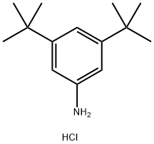 3,5-DI-TERT-BUTYLANILINE HYDROCHLORIDE 结构式